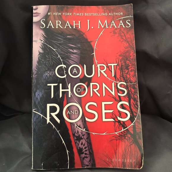 Barnes & Noble Other - A Court of Thorns and Roses (Paperback) by Sarah J. Maas; Original Cover